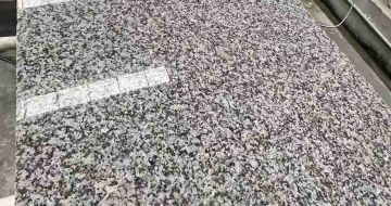 深圳 芙蓉白光面
