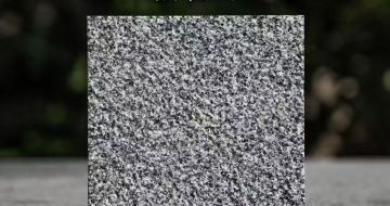 深圳 芝麻黑荔枝面