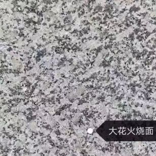 深圳 芙蓉白（芝麻白大花）火烧面