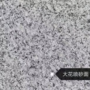 深圳 芙蓉白（芝麻白大花）荔枝面