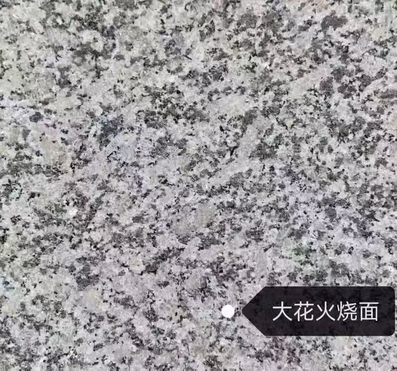 深圳 芙蓉白（芝麻白大花）火烧面