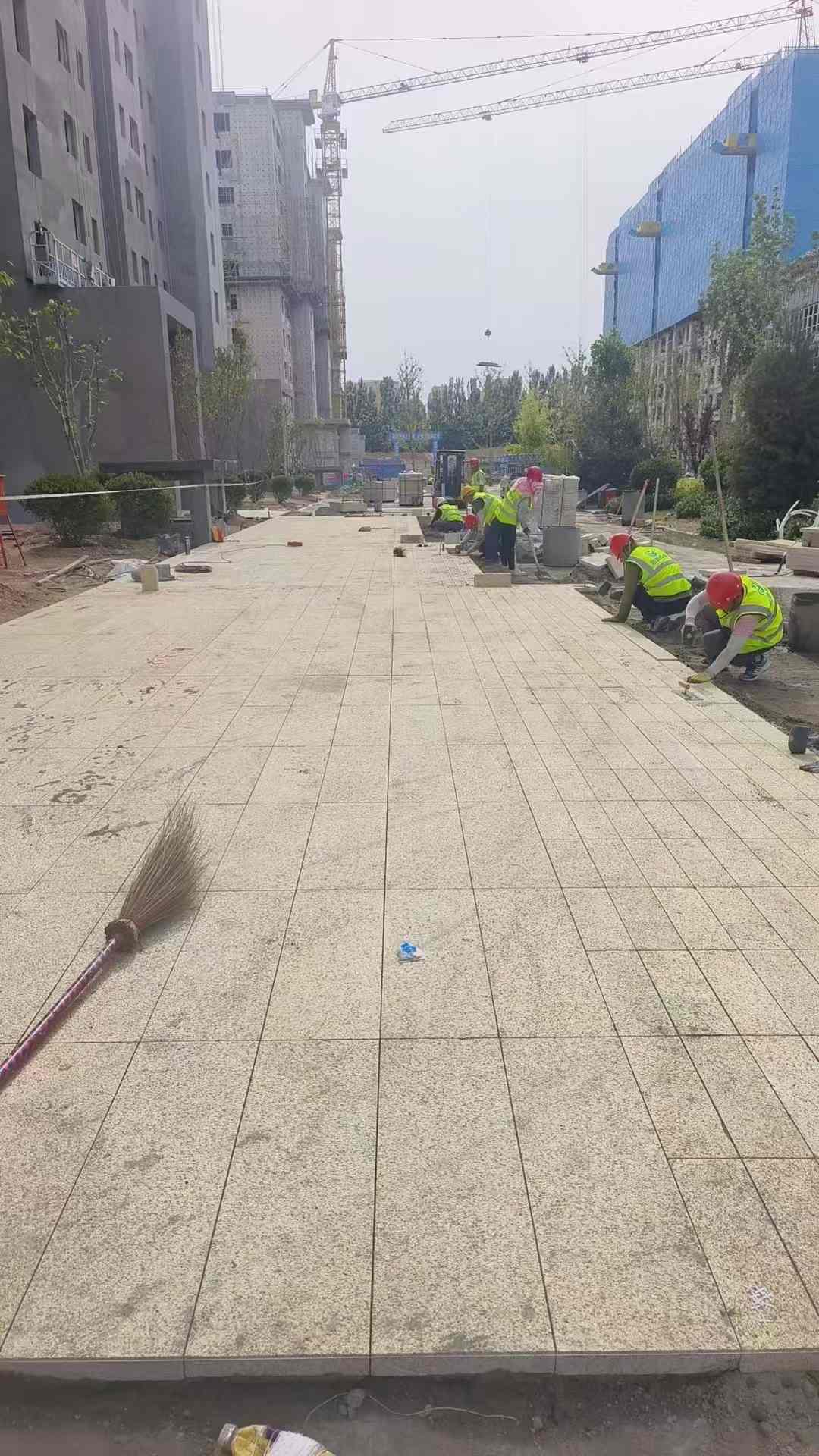 深圳黄金麻荔枝面地铺案例