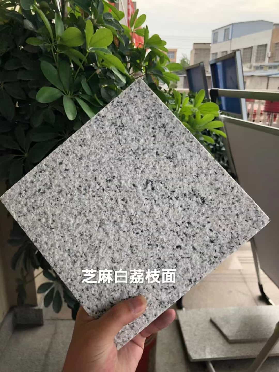 深圳 芝麻白荔枝面干挂