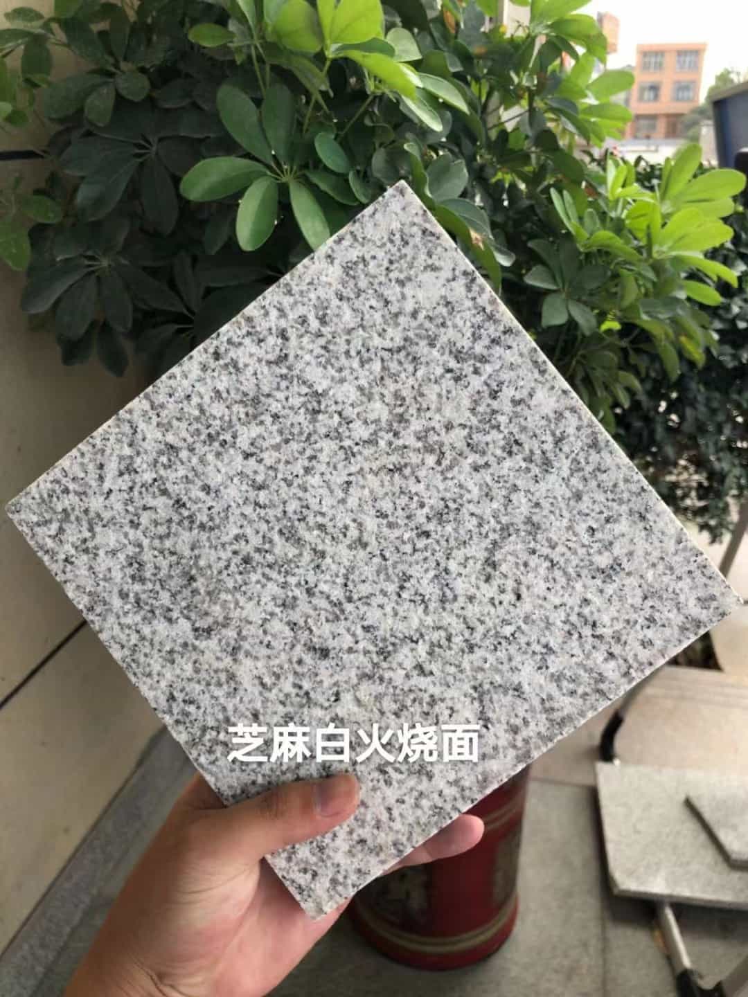 深圳芝麻白火烧面地铺