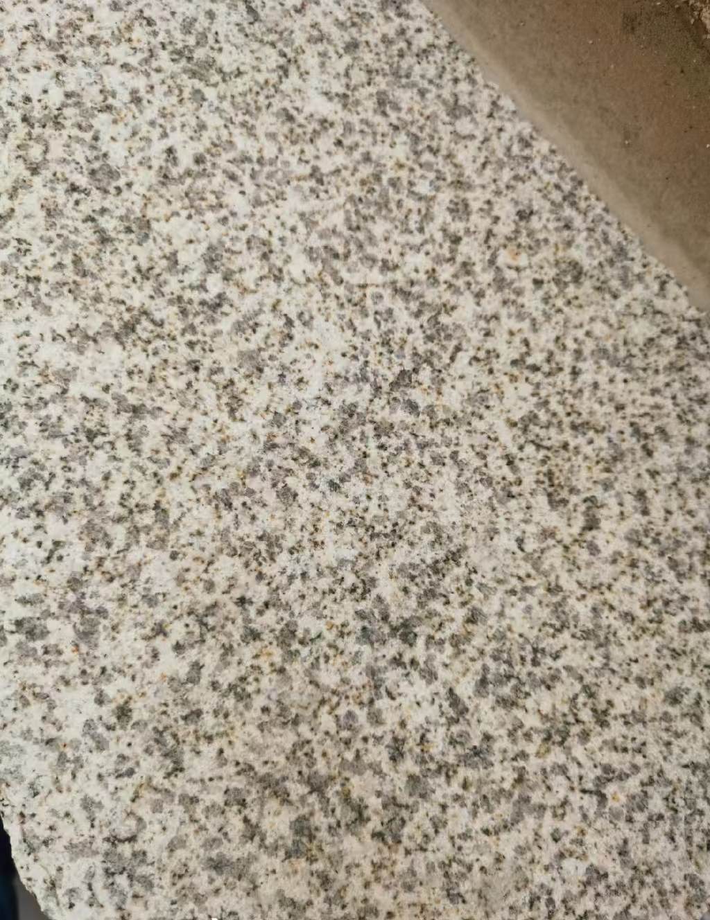 深圳 黄金麻中黄光面