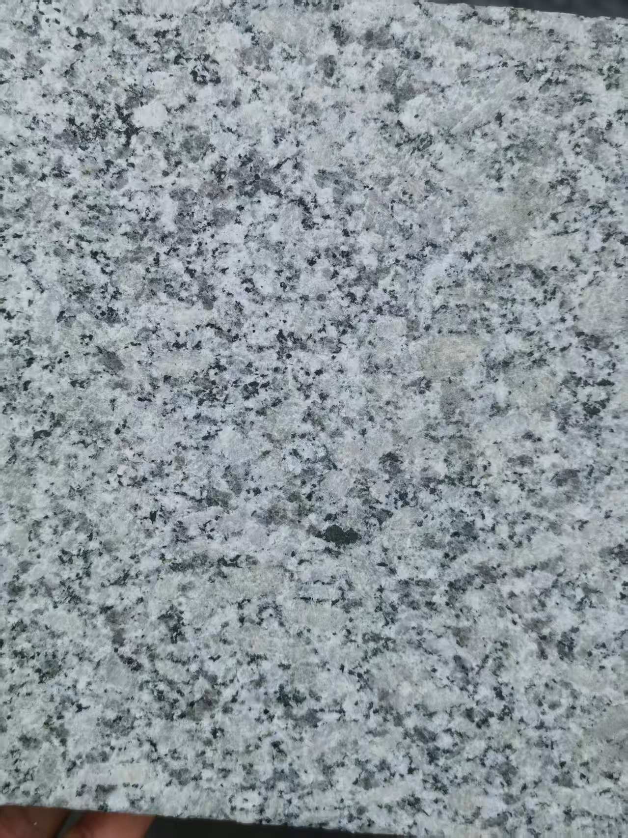 深圳 芙蓉白火烧面